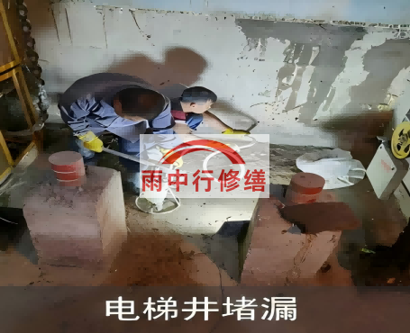 河池星雨华府电梯井堵漏案例